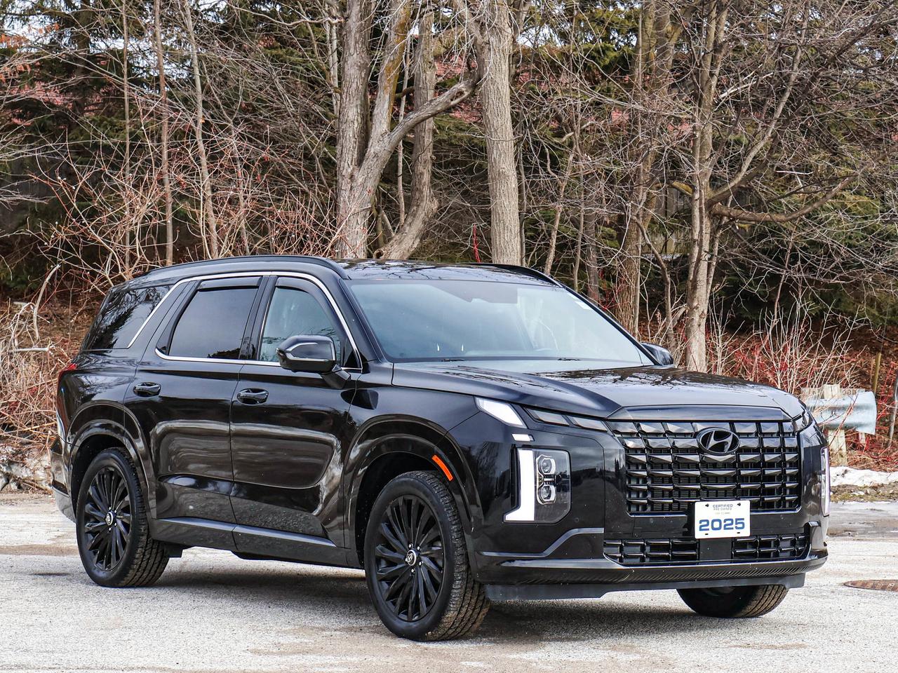 2025 Hyundai PALISADE Ultimate Calligraphy Night Photo2