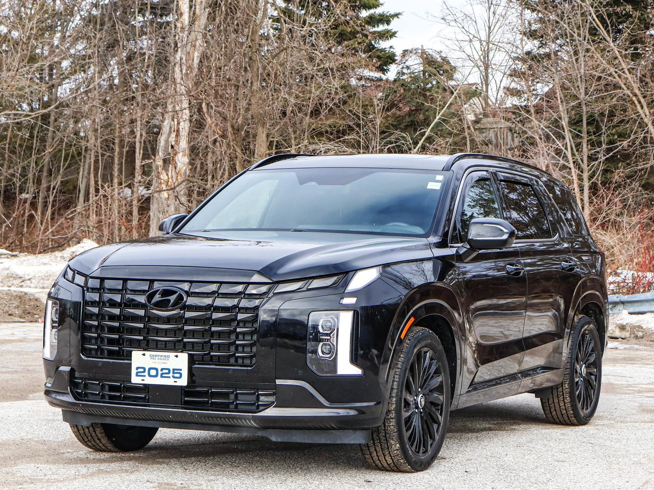 2025 Hyundai PALISADE Ultimate Calligraphy Night Photo