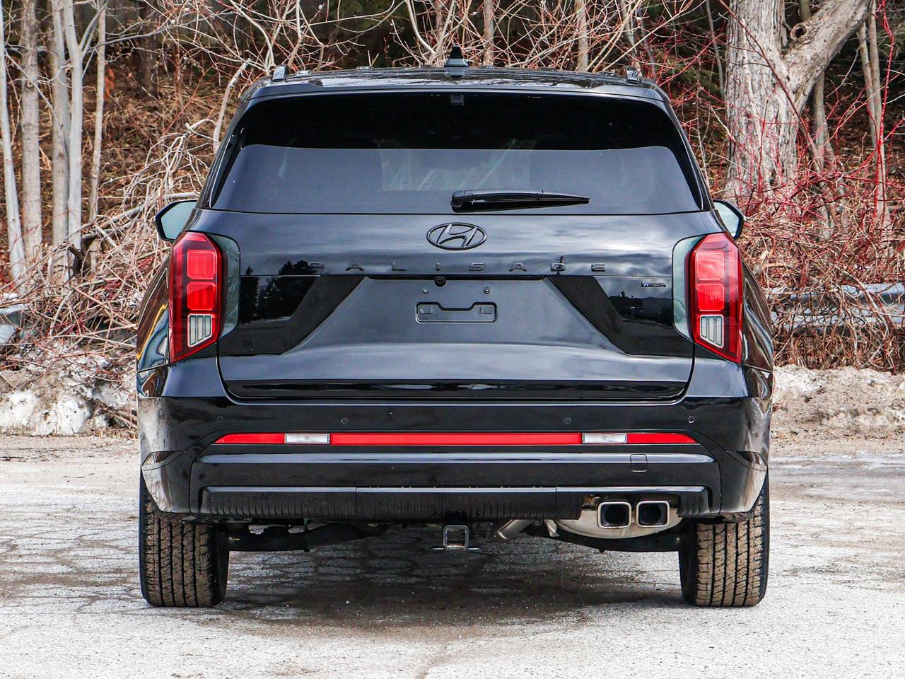 2025 Hyundai PALISADE Ultimate Calligraphy Night Photo