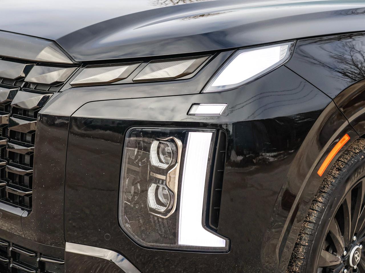 2025 Hyundai PALISADE Ultimate Calligraphy Night Photo