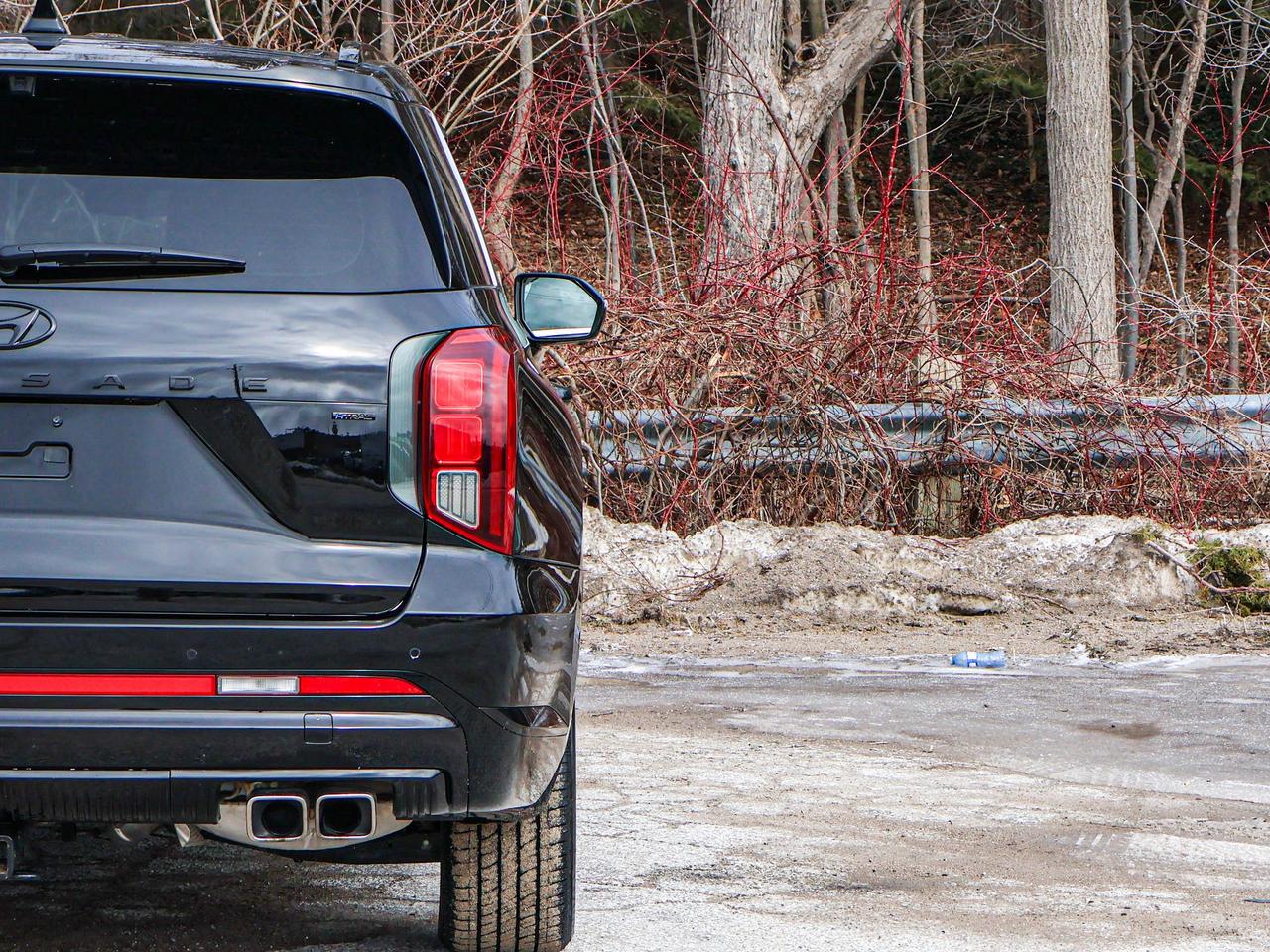 2025 Hyundai PALISADE Ultimate Calligraphy Night Photo