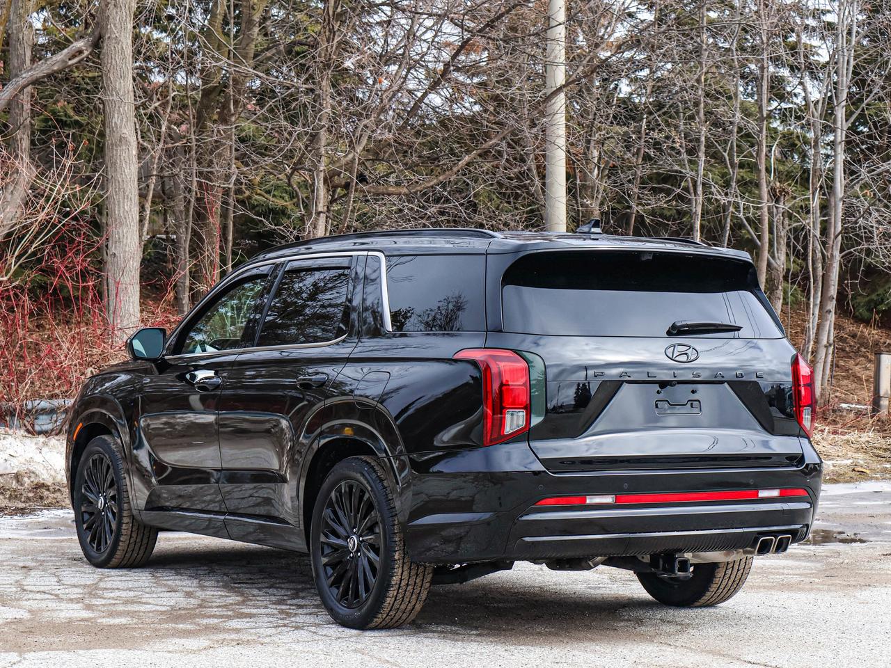 2025 Hyundai PALISADE Ultimate Calligraphy Night Photo