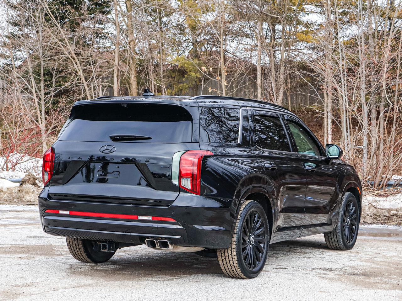 2025 Hyundai PALISADE Ultimate Calligraphy Night Photo