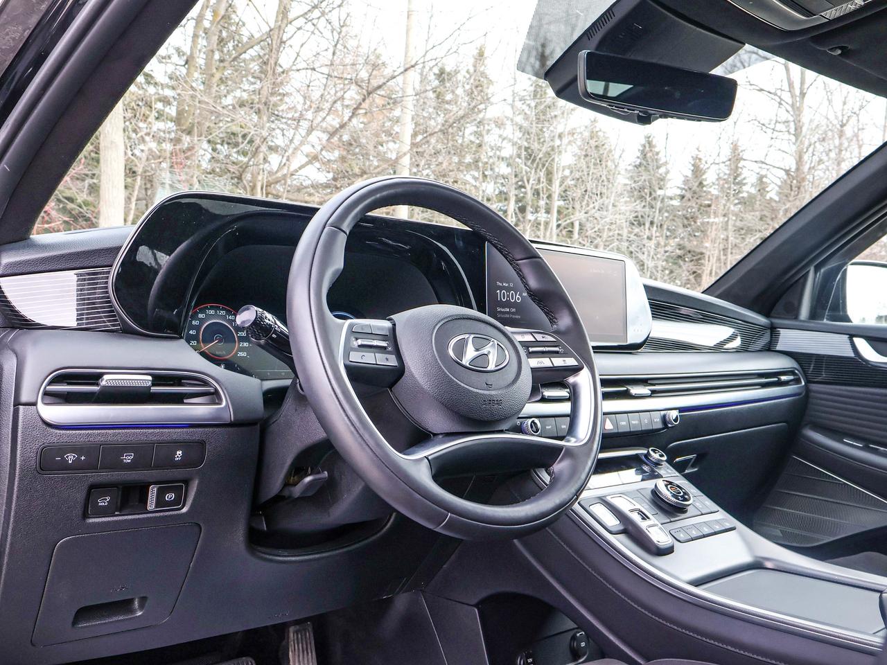 2025 Hyundai PALISADE Ultimate Calligraphy Night Photo