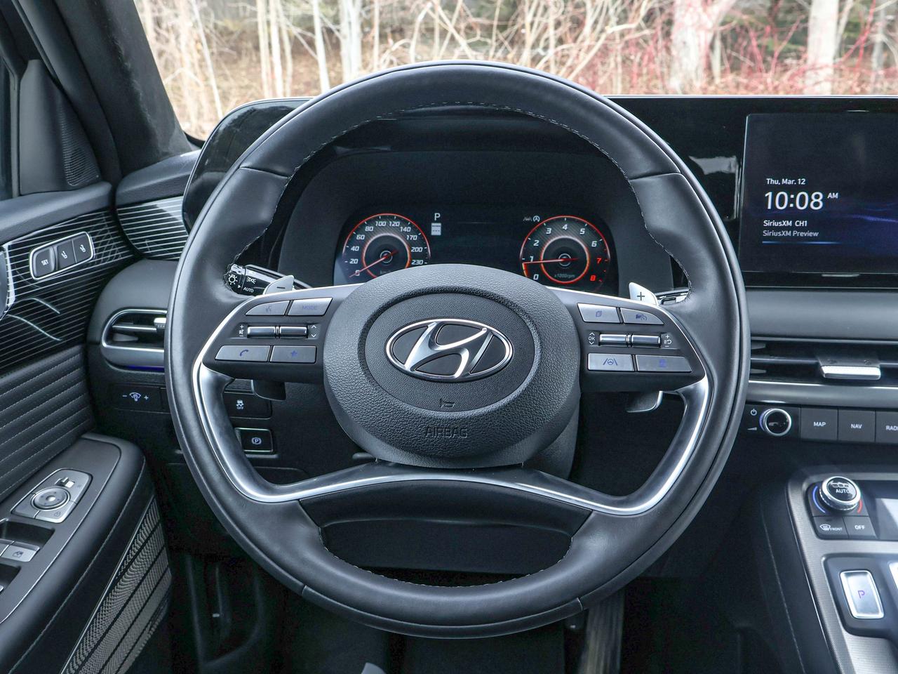 2025 Hyundai PALISADE Ultimate Calligraphy Night Photo