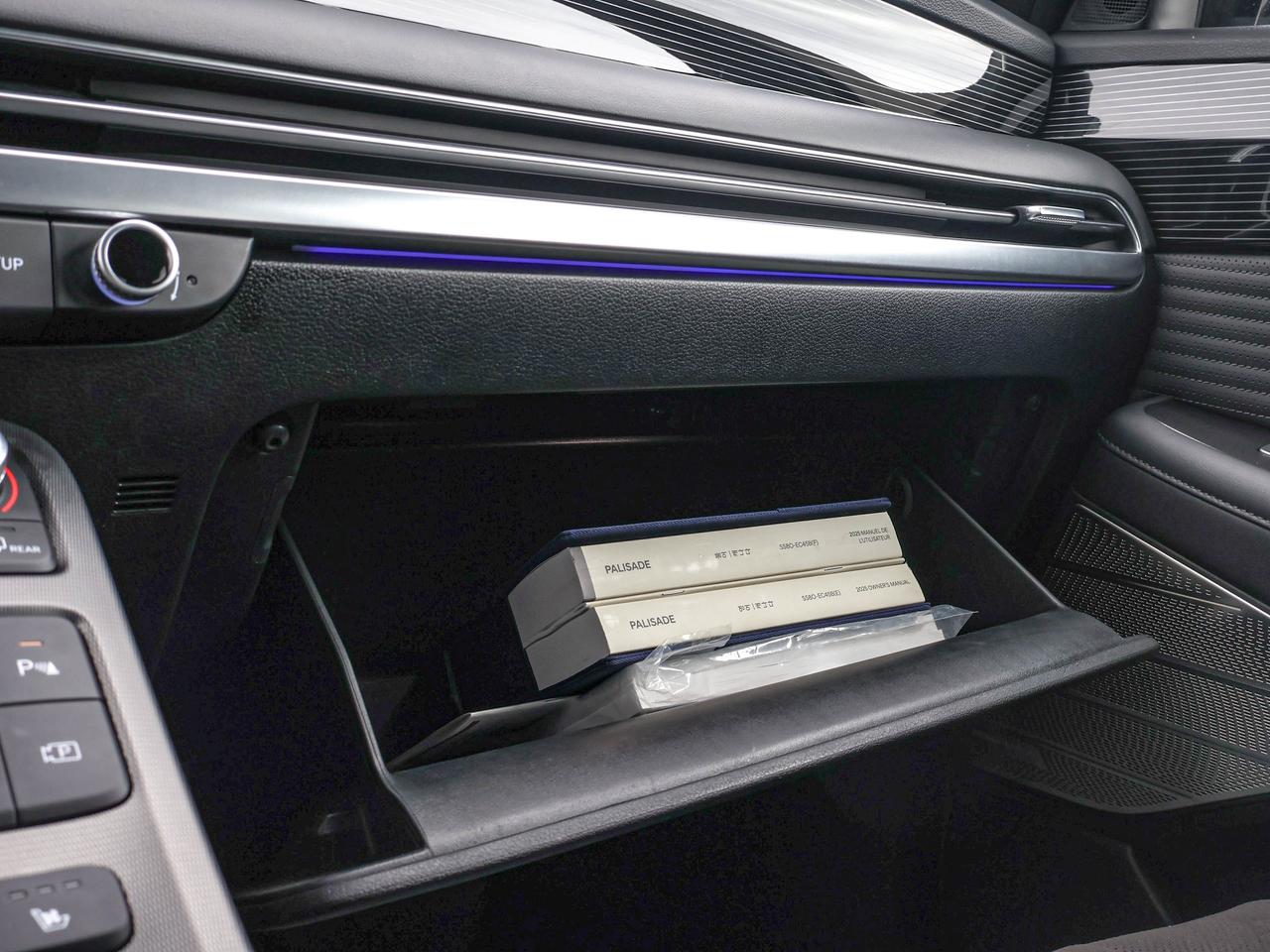 2025 Hyundai PALISADE Ultimate Calligraphy Night Photo