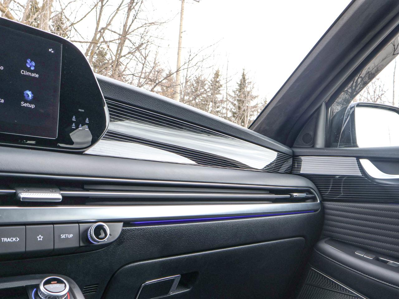 2025 Hyundai PALISADE Ultimate Calligraphy Night Photo