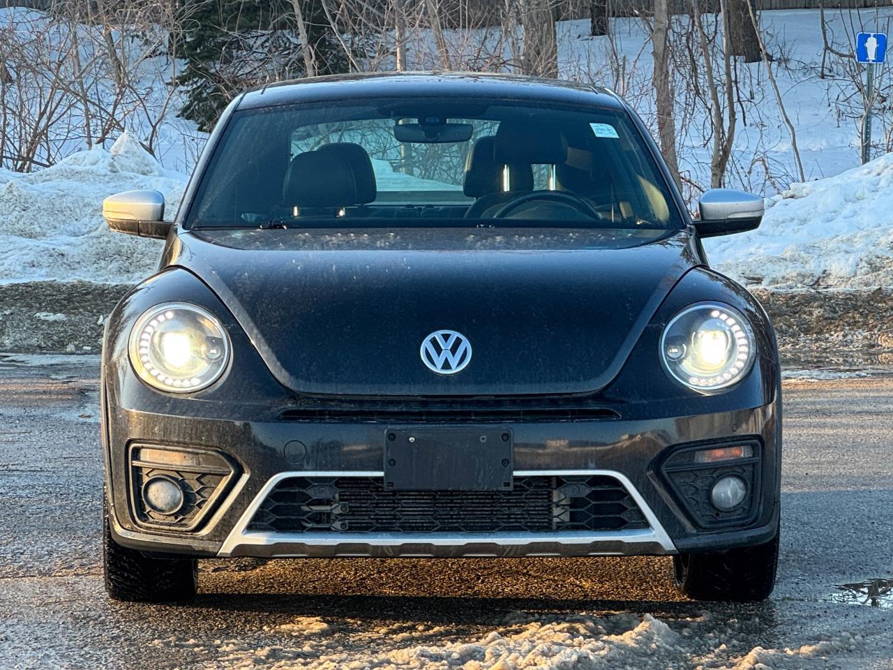 2018 Volkswagen Beetle Dune Photo4