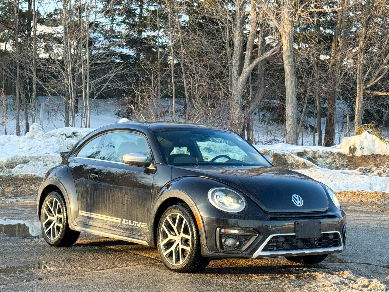2018 Volkswagen Beetle Dune Photo