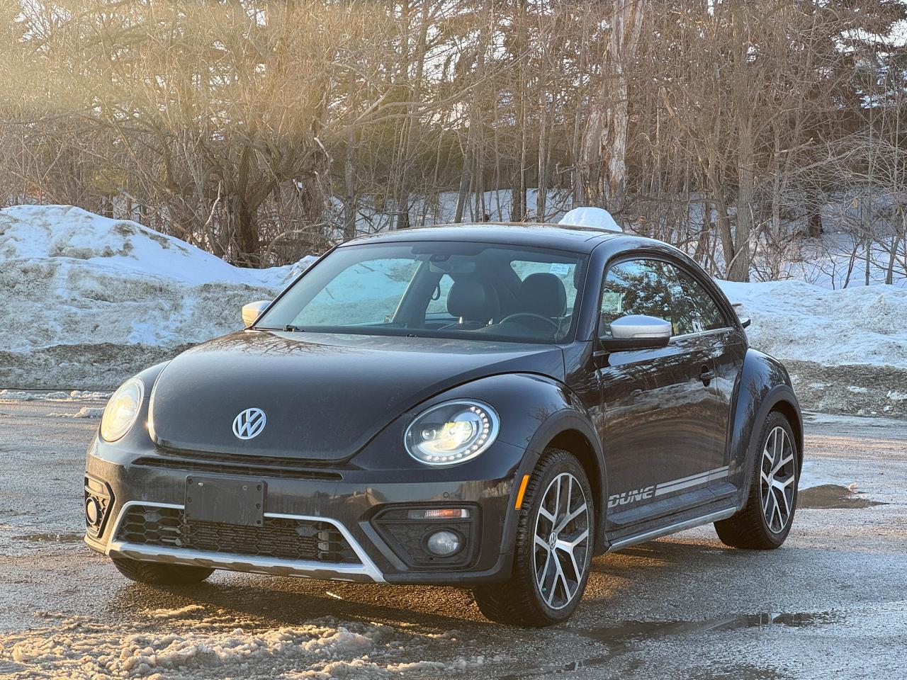 2018 Volkswagen Beetle Dune Photo