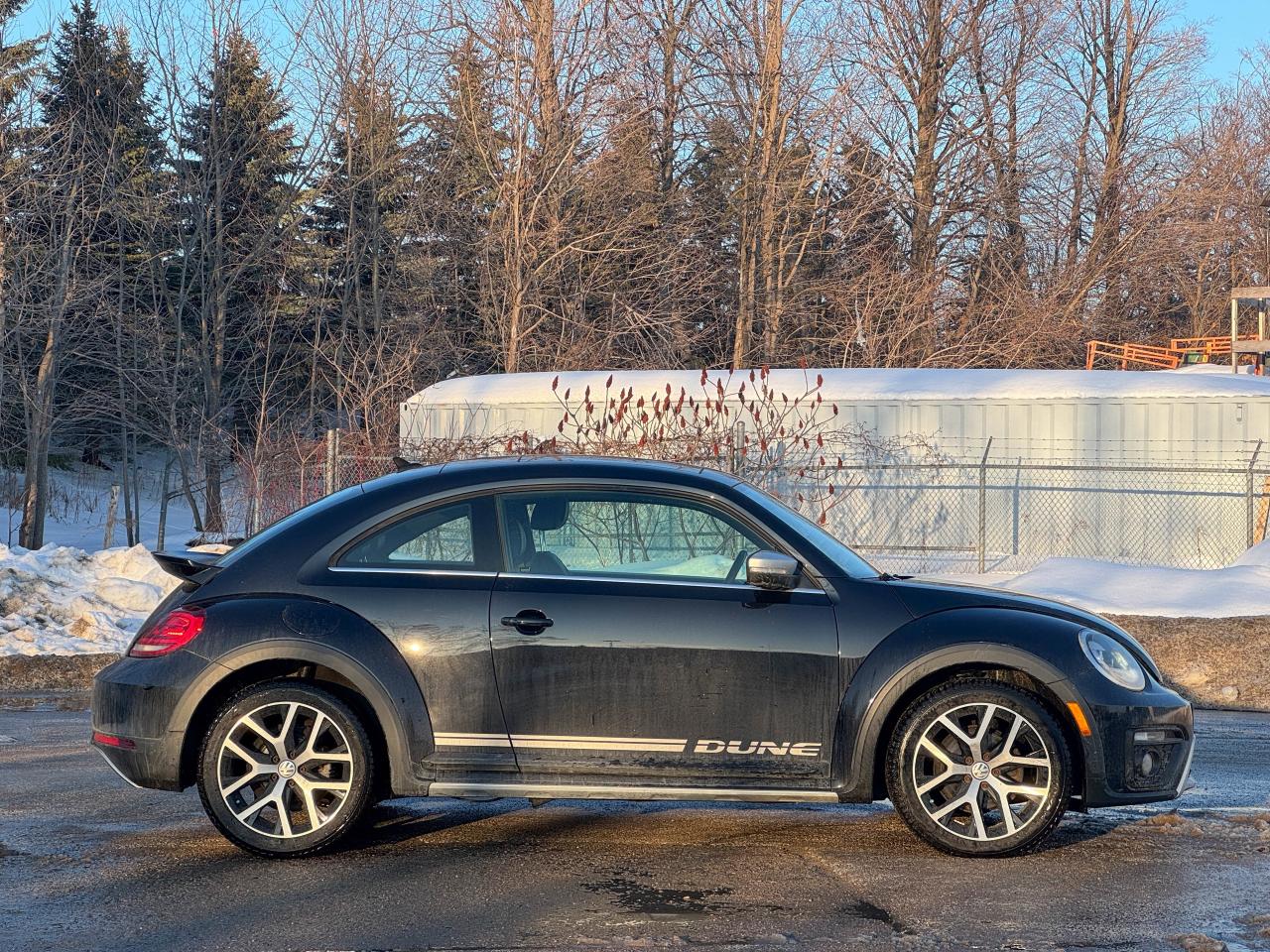 2018 Volkswagen Beetle Dune Photo