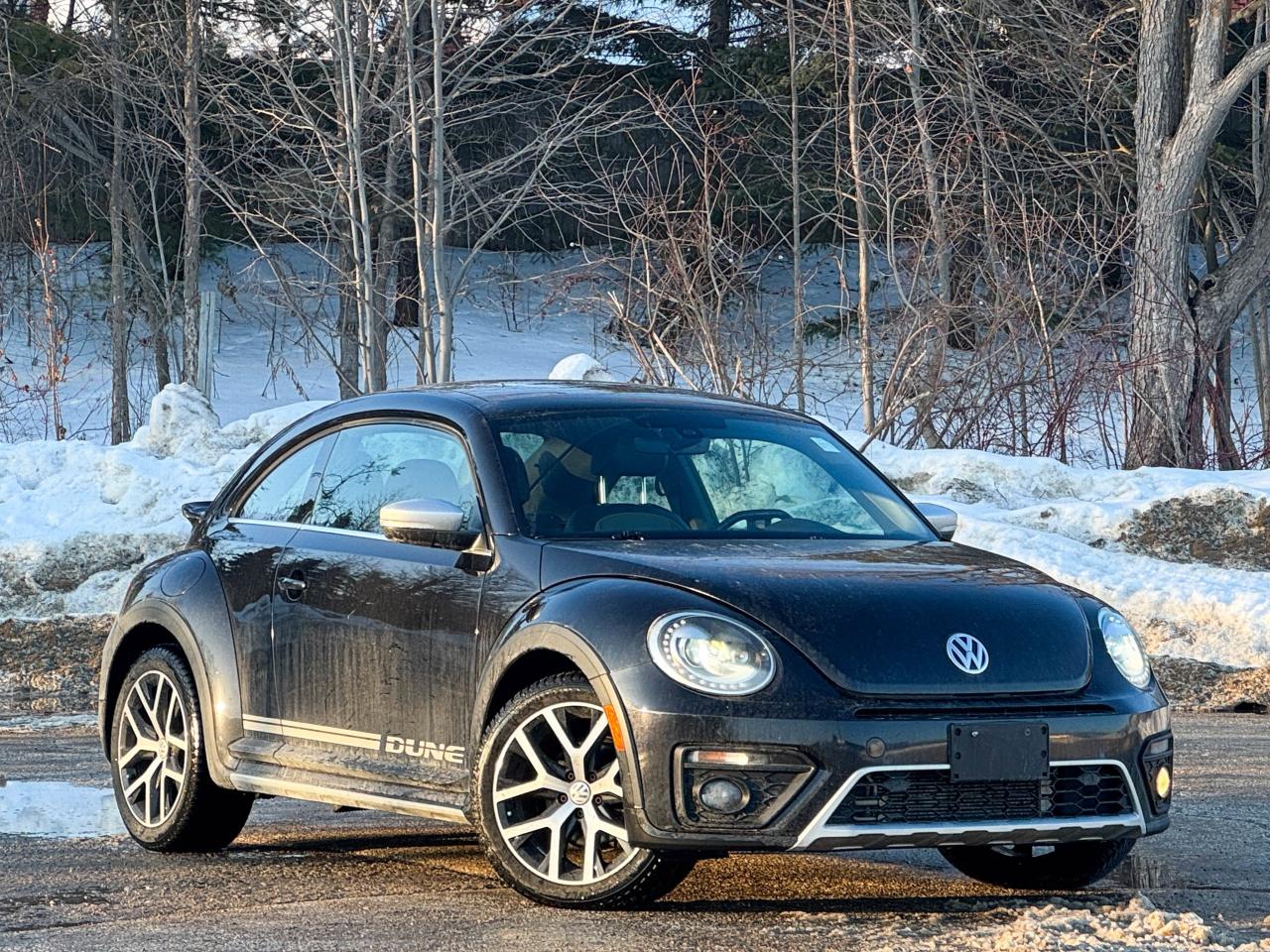 2018 Volkswagen Beetle Dune Photo