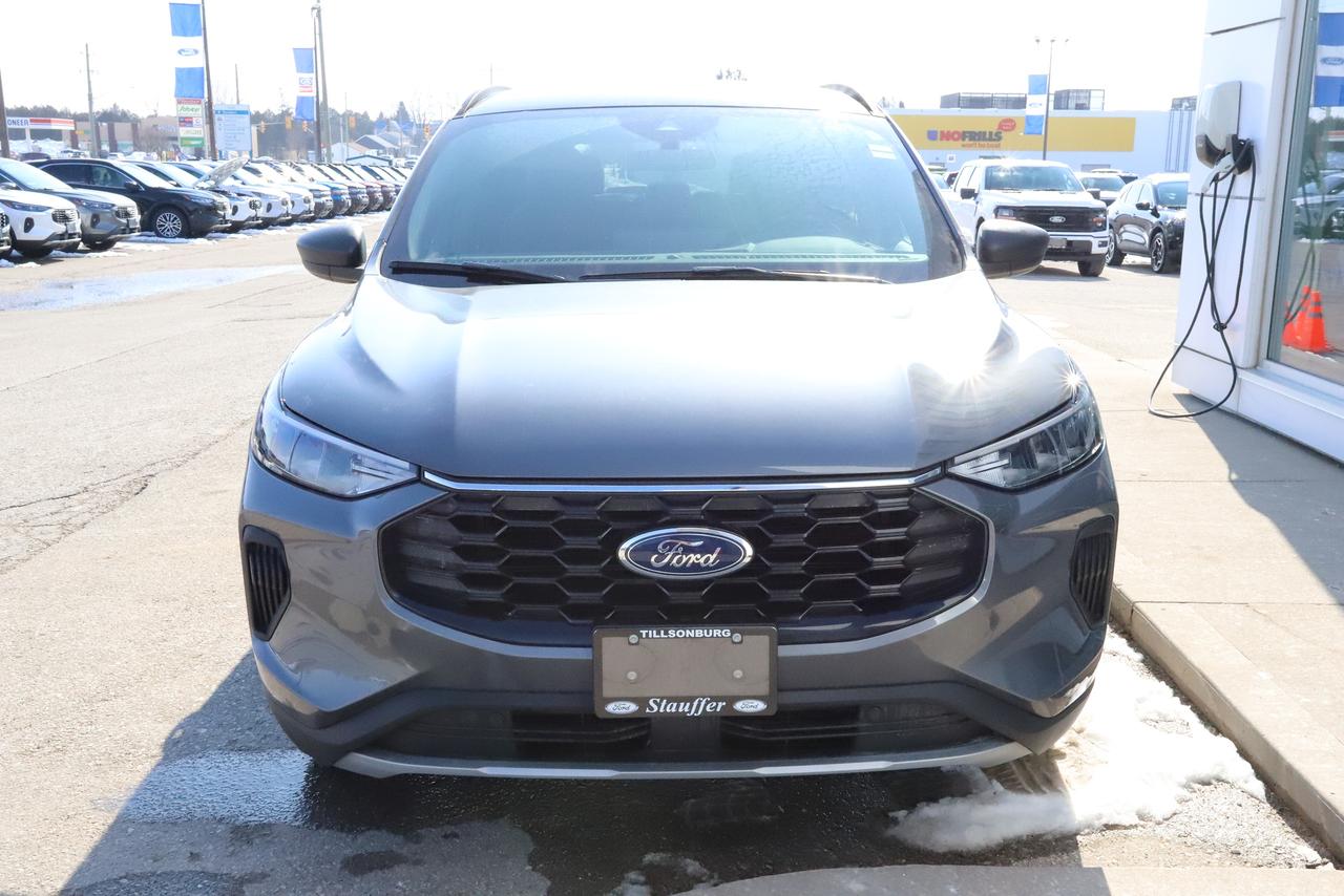 2026 Ford Escape ST-Line AWD Photo