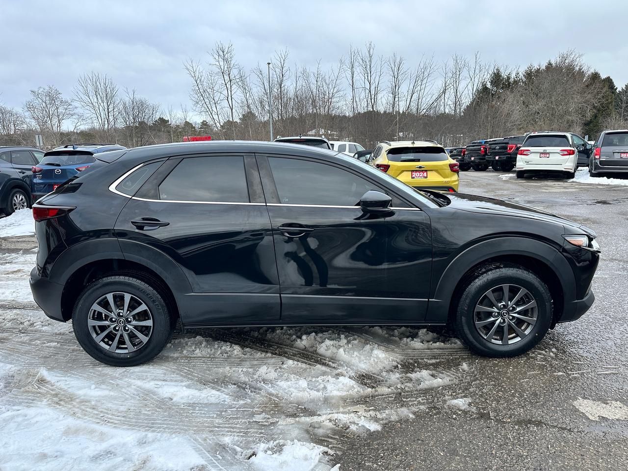 2021 Mazda CX-30 GX-AWD HTD Cloth Bluetooth CarPlay RearCam Alloys Photo4