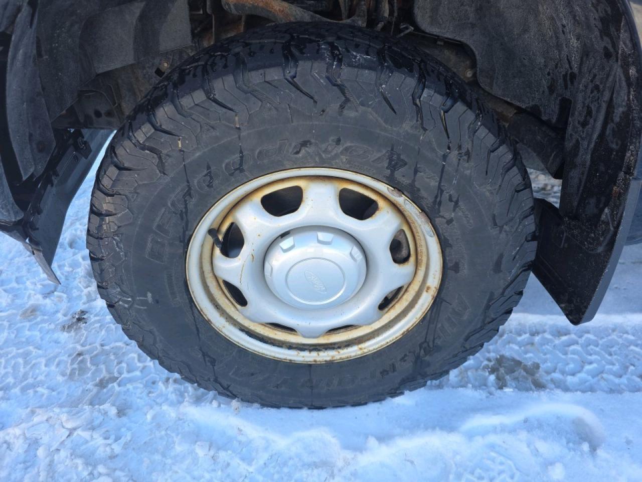 2019 Ford F-150 XLT Reg Cab 4X4 Photo