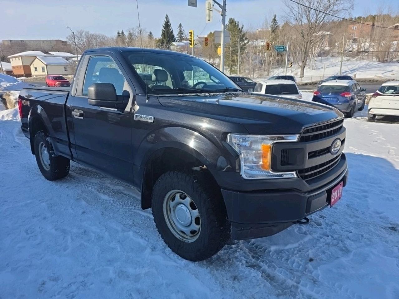 2019 Ford F-150 XLT Reg Cab 4X4 Photo