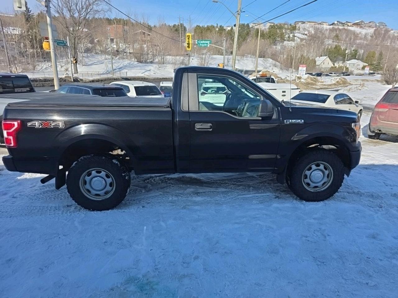 2019 Ford F-150 XLT Reg Cab 4X4 Photo