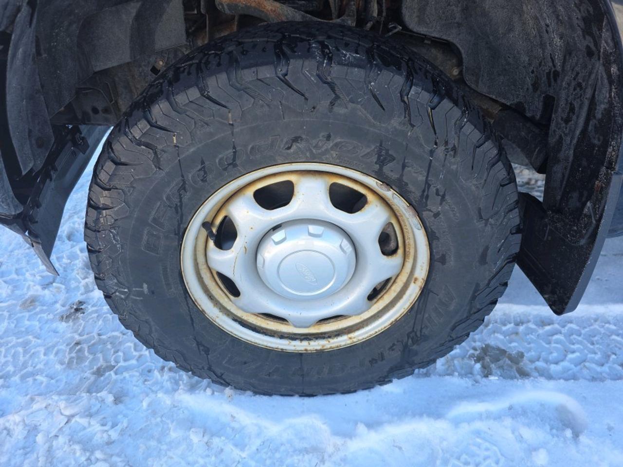 2019 Ford F-150 XLT Reg Cab 4X4 Photo