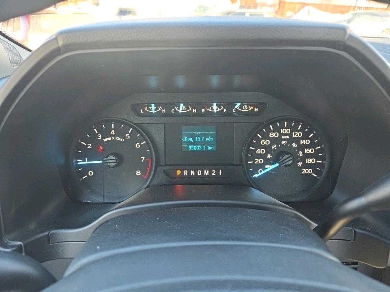 2019 Ford F-150 XLT Reg Cab 4X4 Photo