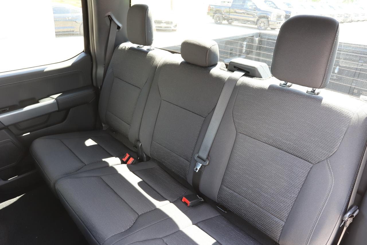 2026 Ford F-150 XLT 4WD SuperCrew 5.5' Box Photo