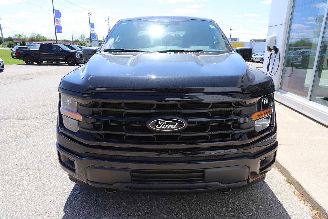 2026 Ford F-150 XLT 4WD SuperCrew 5.5' Box Photo