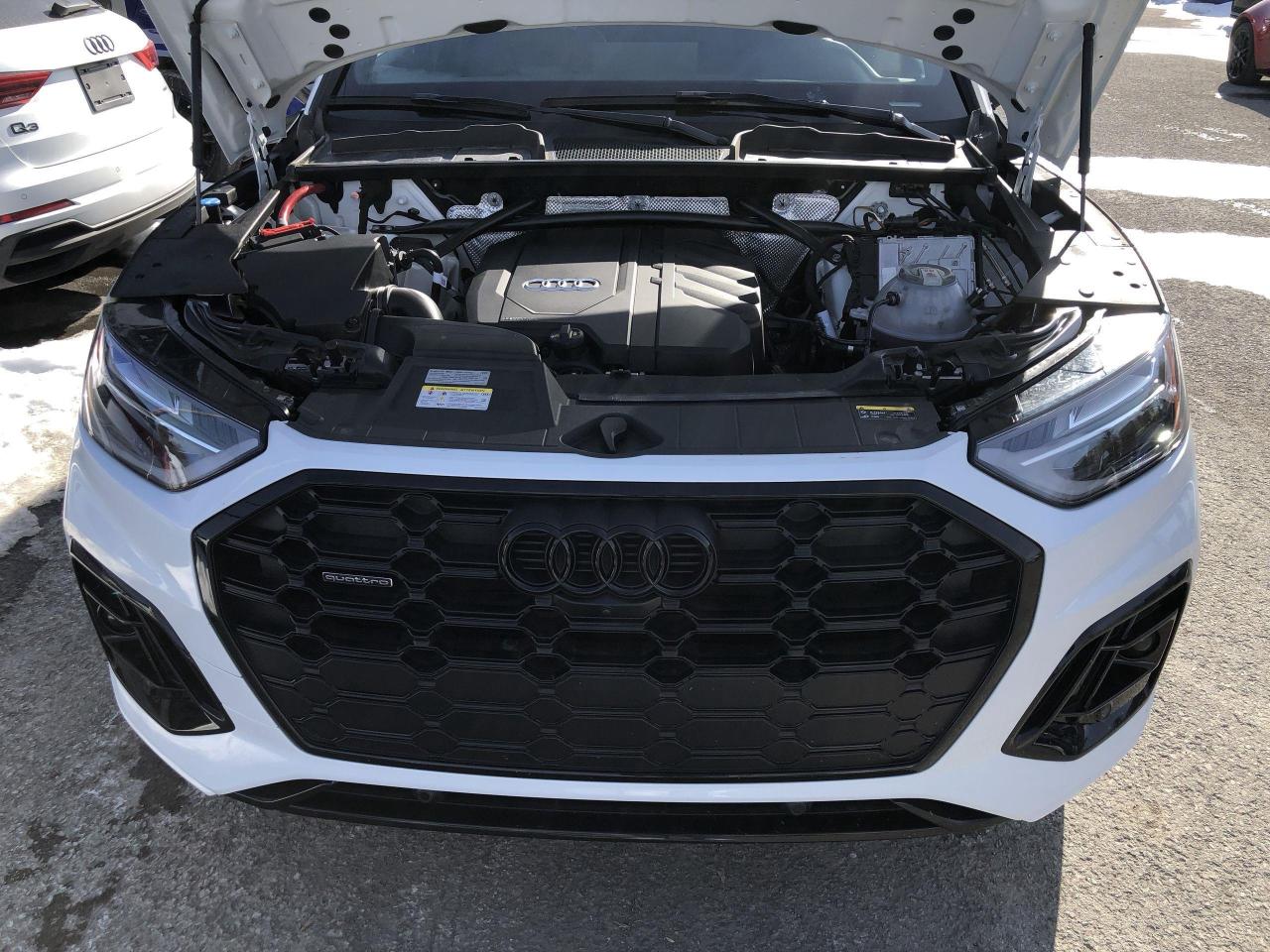 2025 Audi Q5 45 Progressiv LEATHER, PAN.ROOF, NAVI, ADAPTIVE CR Photo