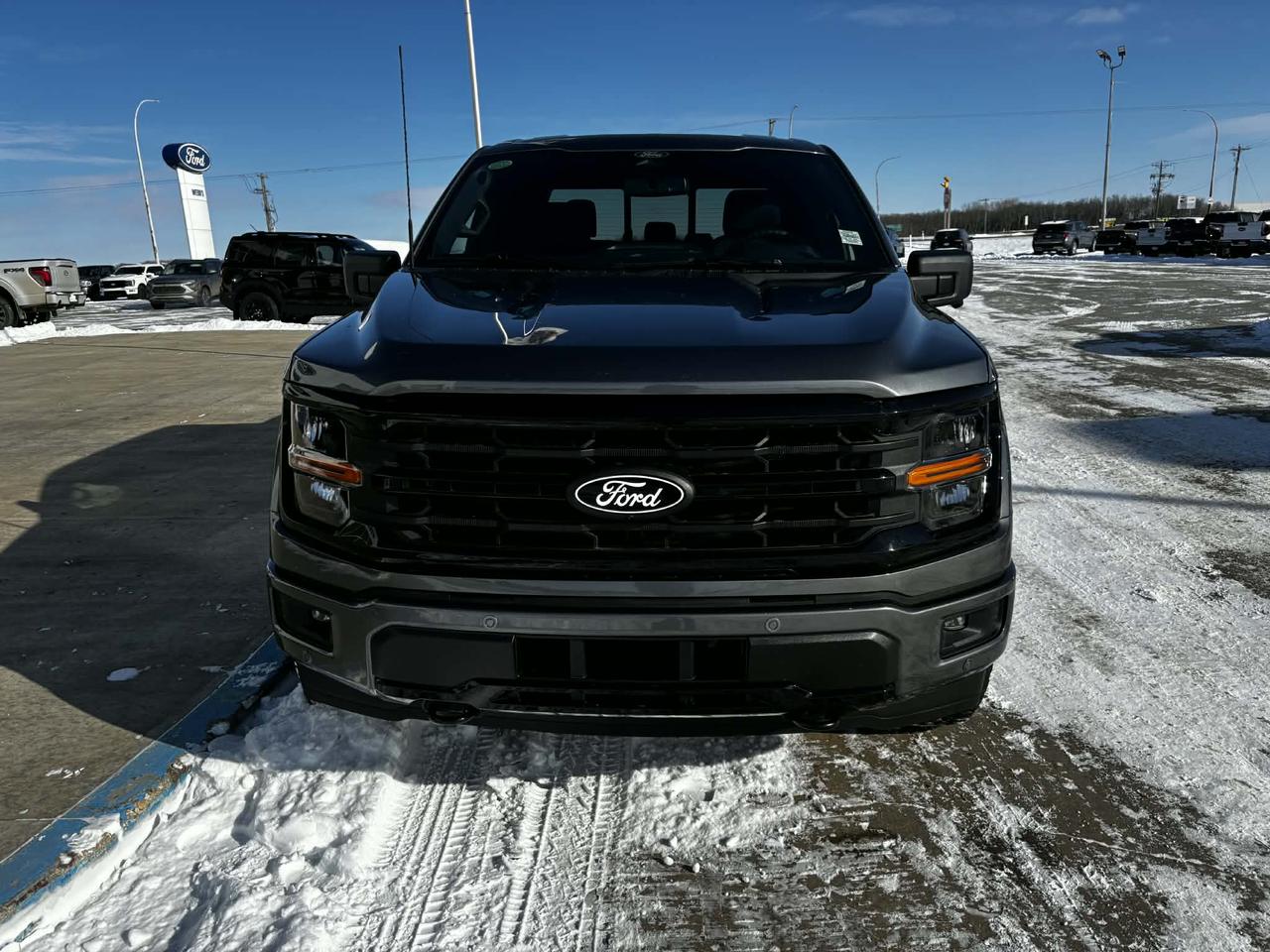 2026 Ford F-150 XLT 4WD SuperCrew 5.5' Box Photo4