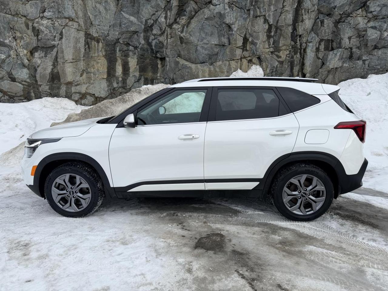 2024 Kia Seltos EX AWD Photo