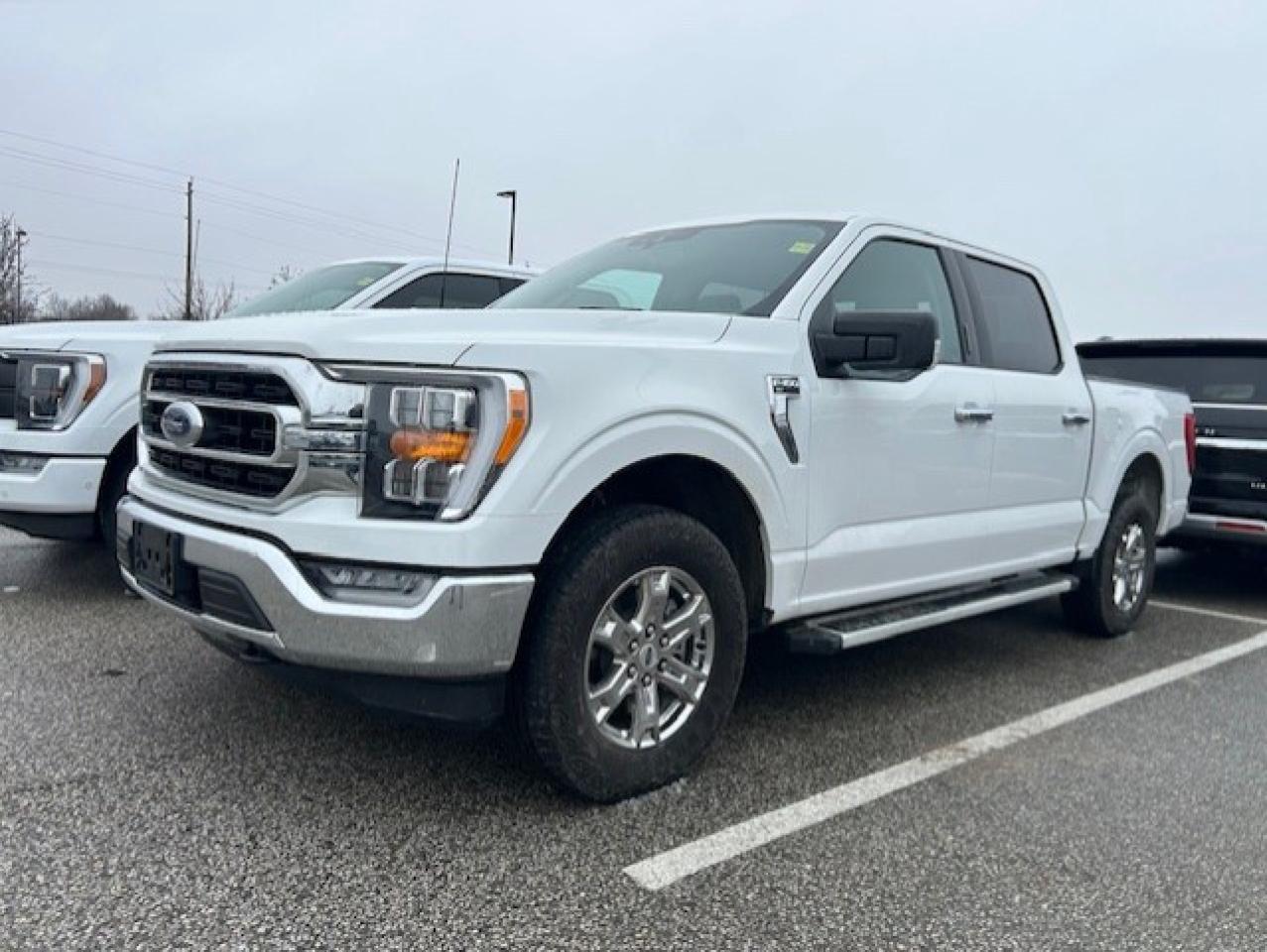 2022 Ford F-150 XLT 4WD SuperCrew 5.5' Box Photo0