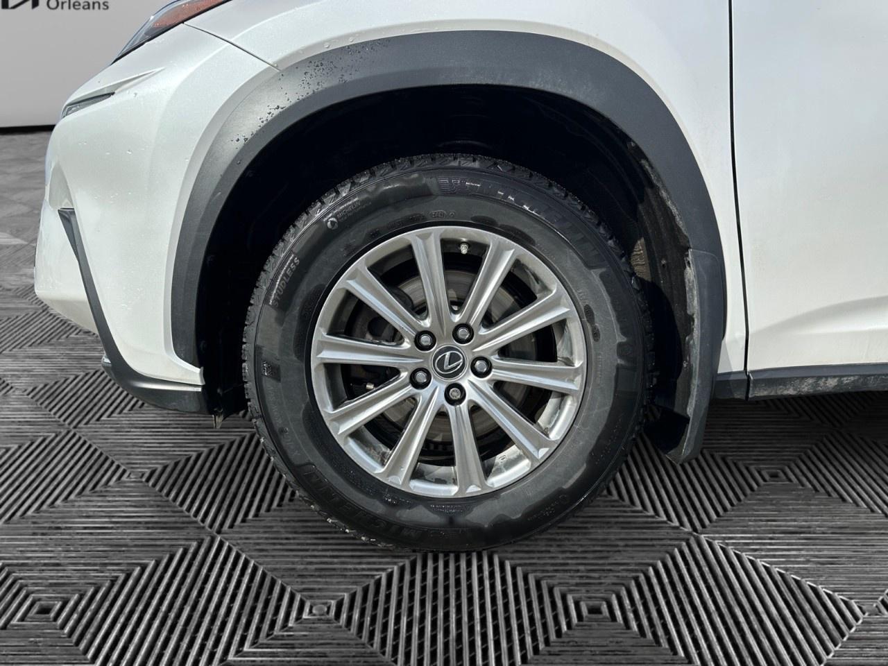 2021 Lexus NX NX 300 AWD Photo