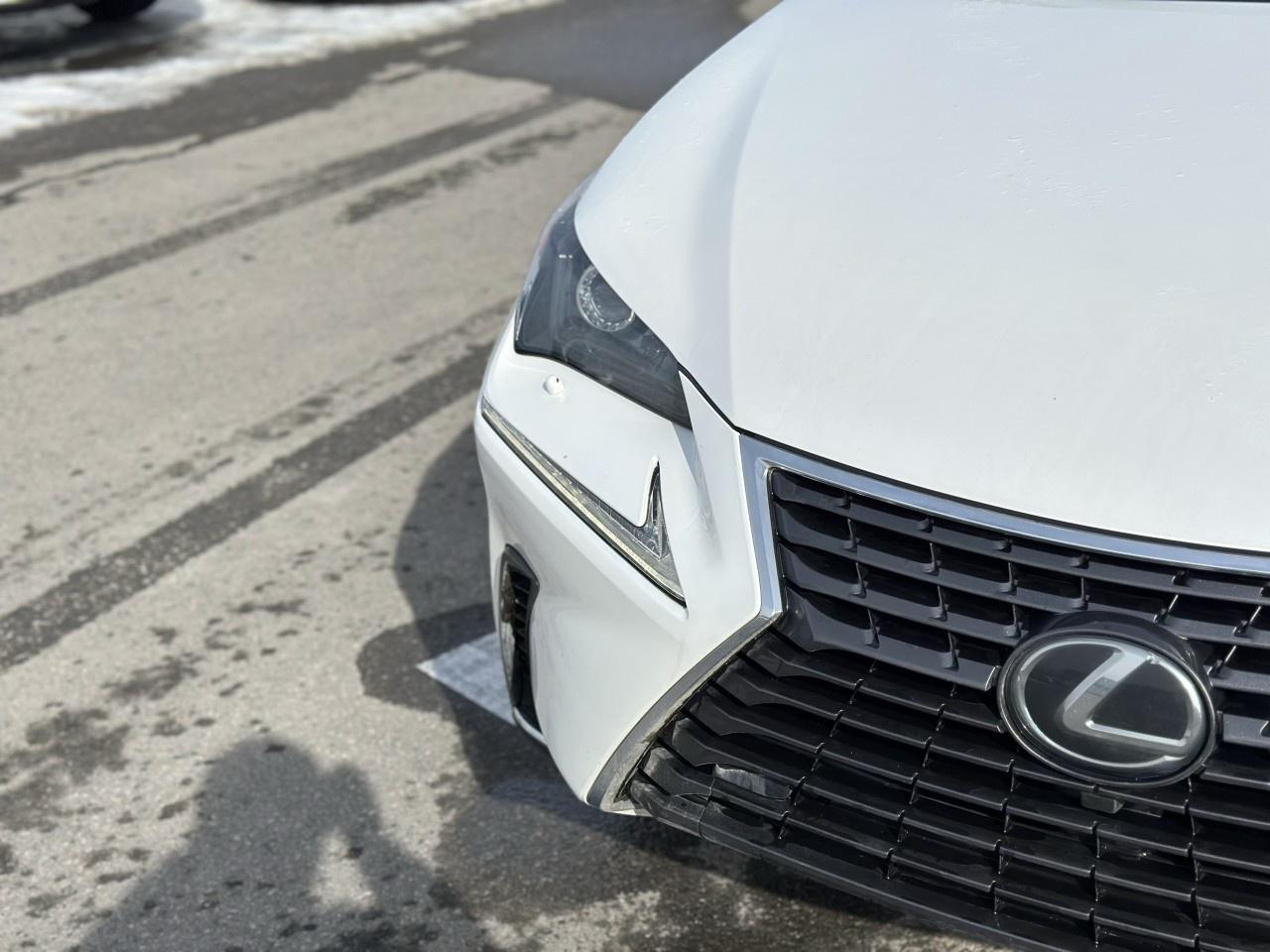 2021 Lexus NX NX 300 AWD Photo