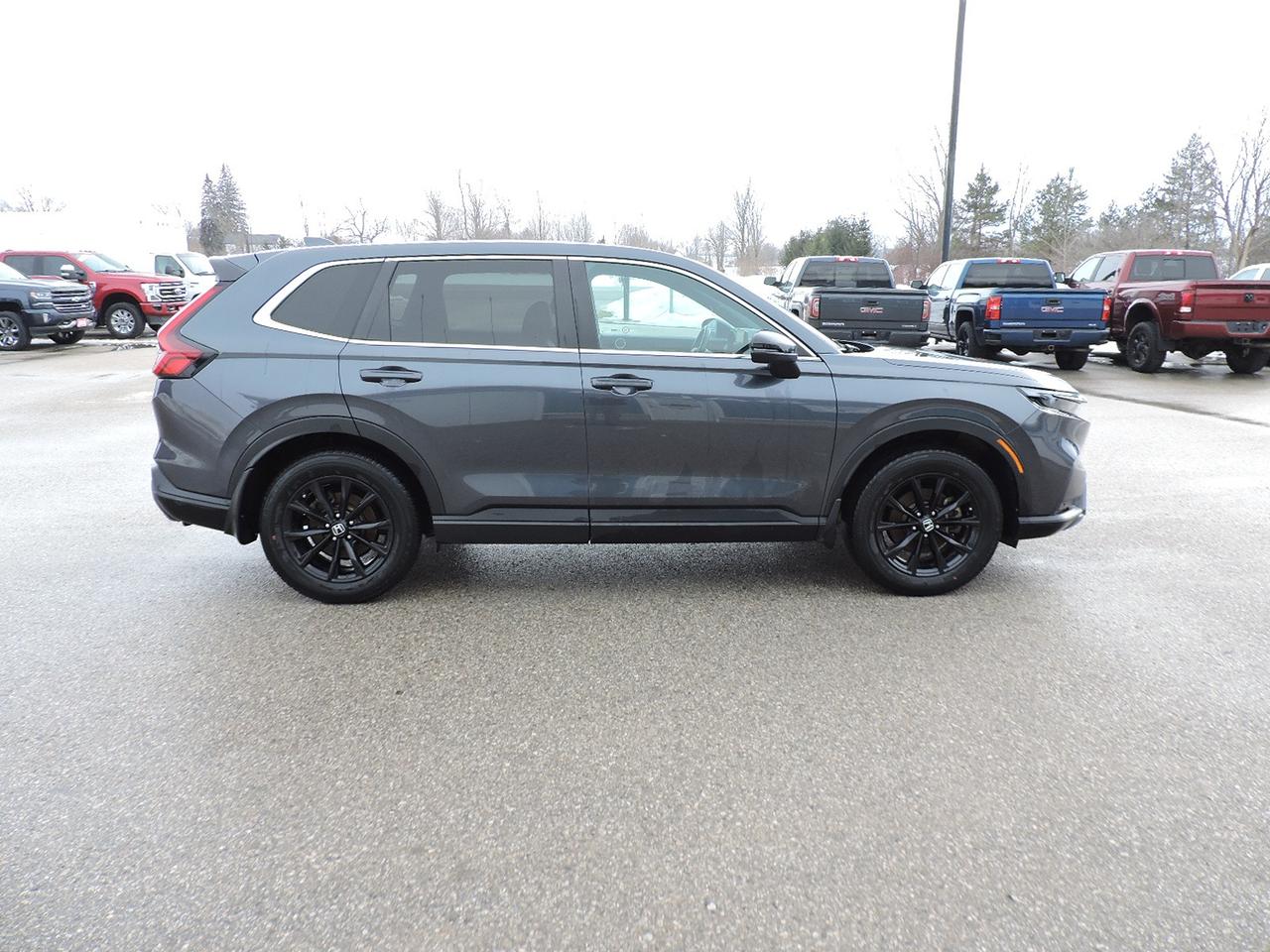 2024 Honda CR-V EX-L AWD 1.5L Turbo Hybrid 1-Owner Sunroof 51000KM Photo3