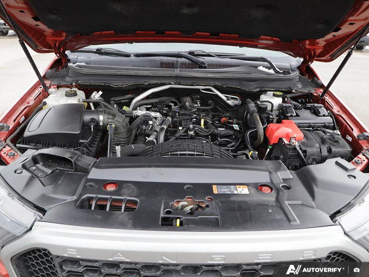 2019 Ford Ranger XLT Photo