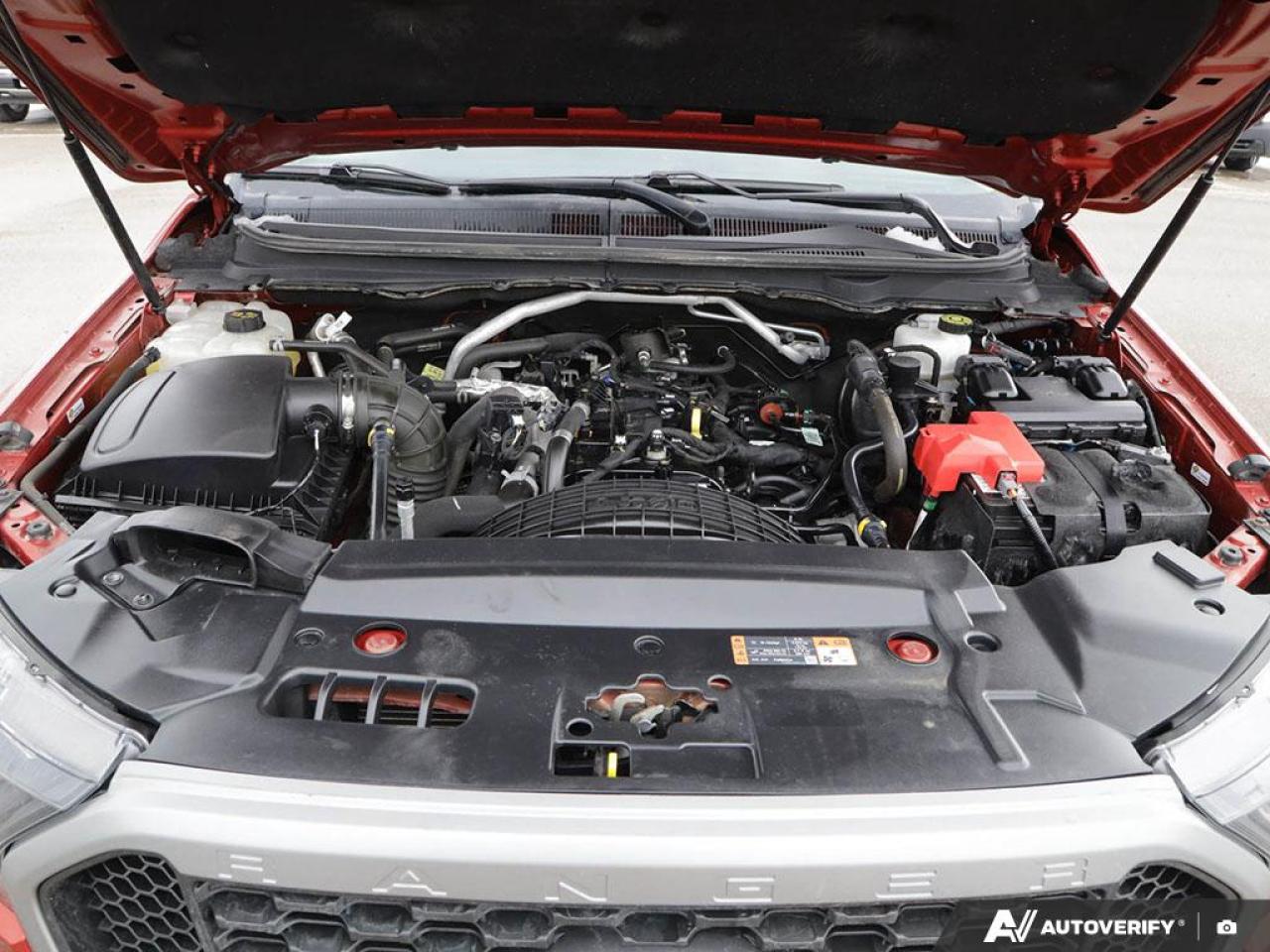 2019 Ford Ranger XLT Photo