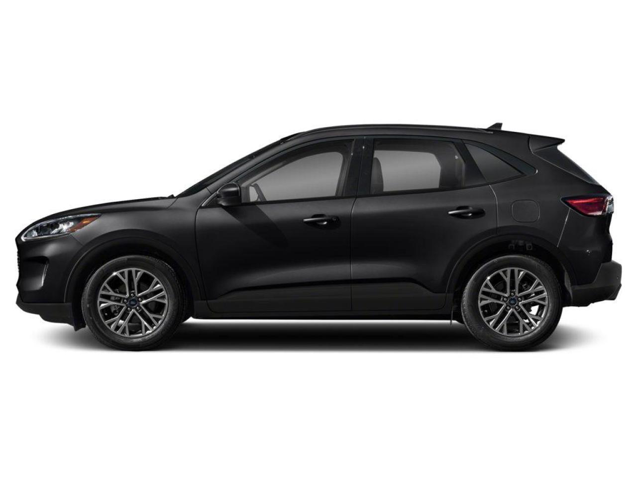 2020 Ford Escape SEL Photo