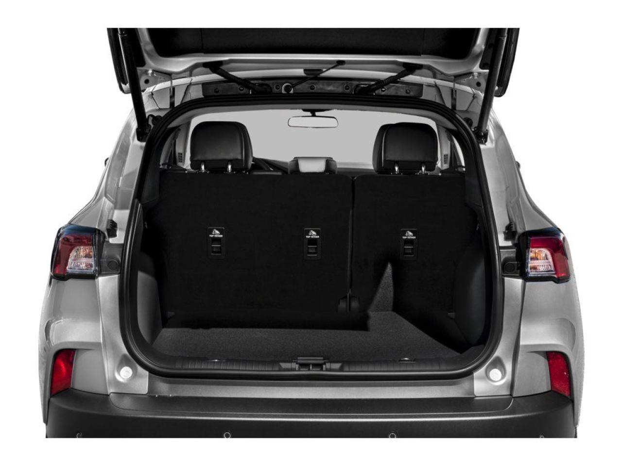 2020 Ford Escape SEL Photo