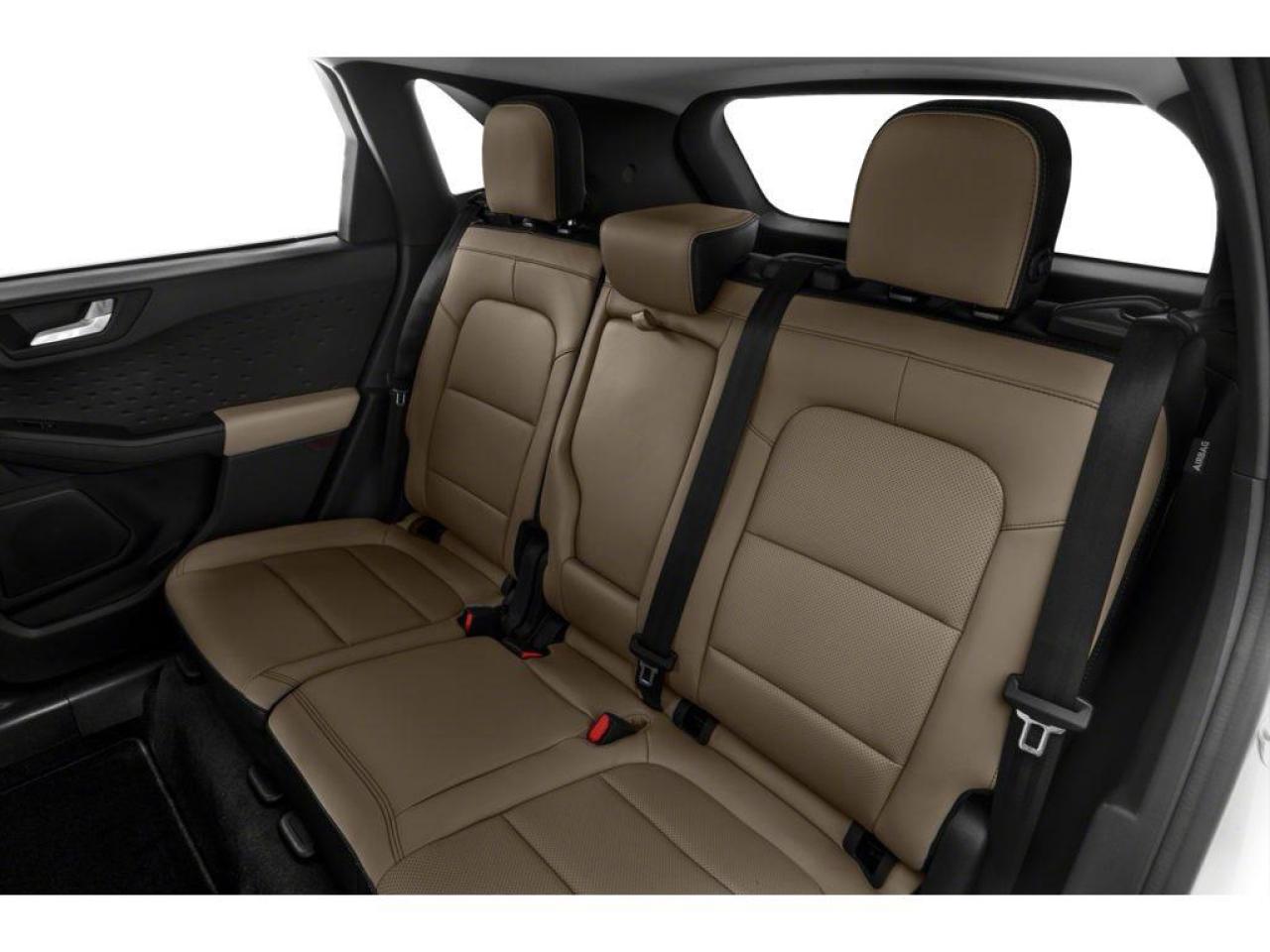 2020 Ford Escape SEL Photo