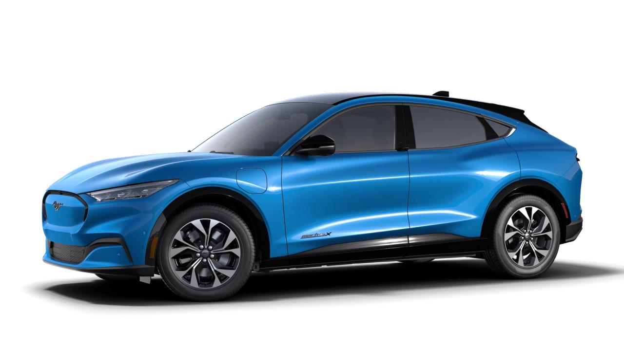 2023 Ford Mustang Mach-E Premium Photo0