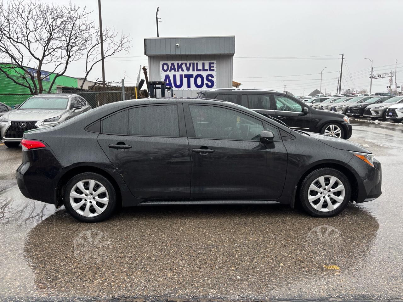 2020 Toyota Corolla LE Automatic Photo