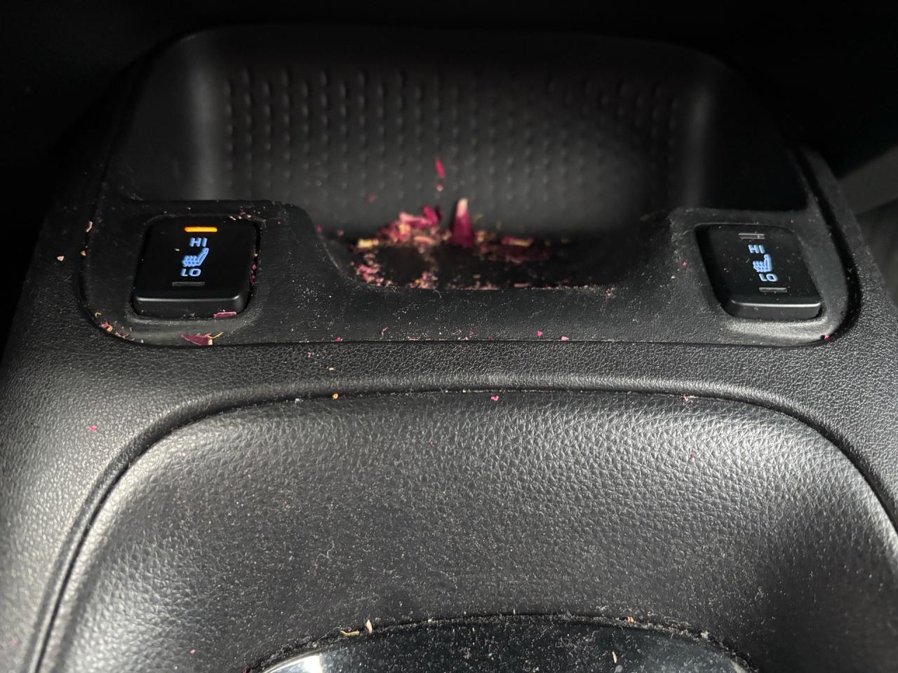 2020 Toyota Corolla LE Automatic Photo