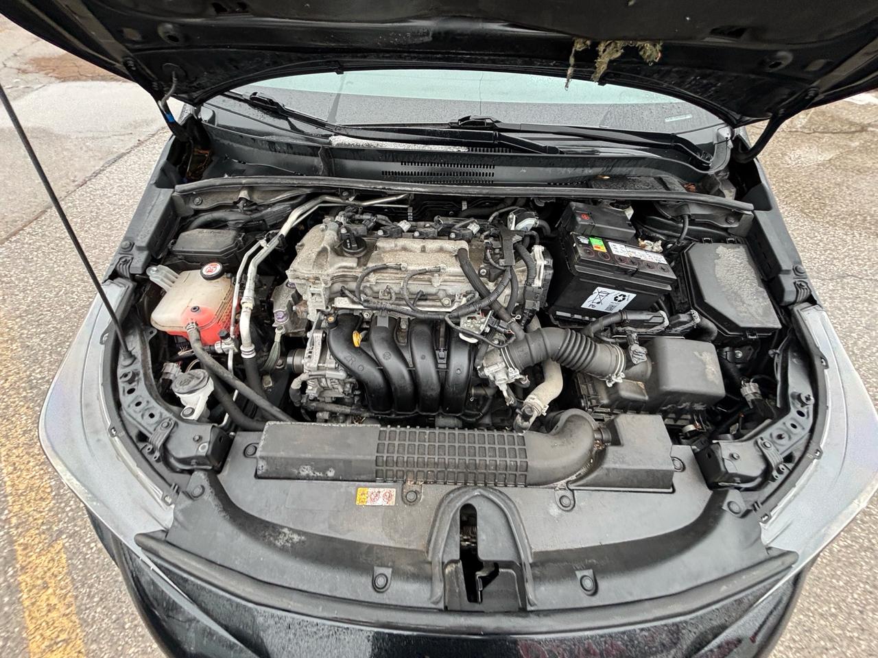 2020 Toyota Corolla XLE, Navigation, Leather, Roof Photo