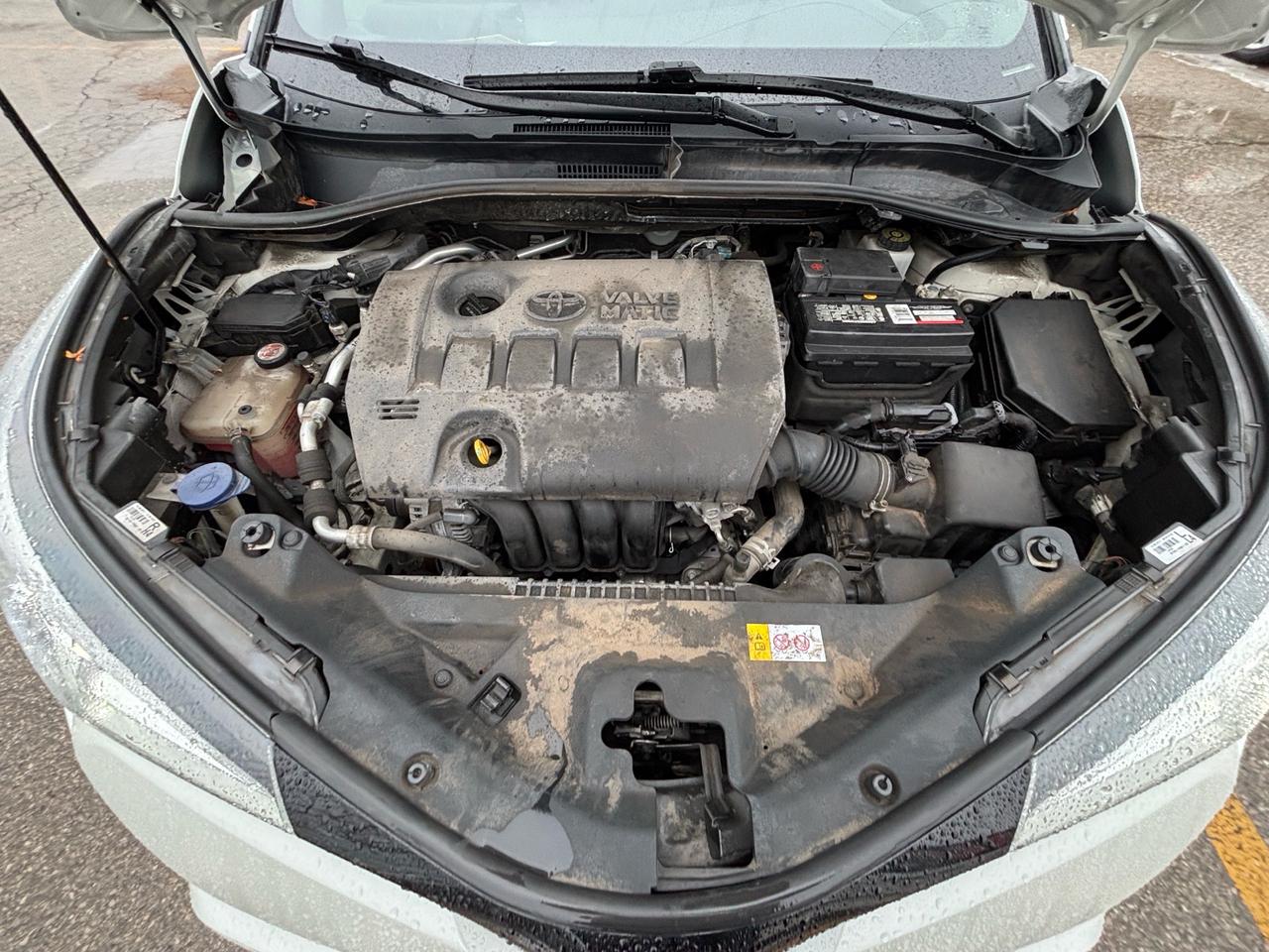 2018 Toyota C-HR Fwd Xle Photo