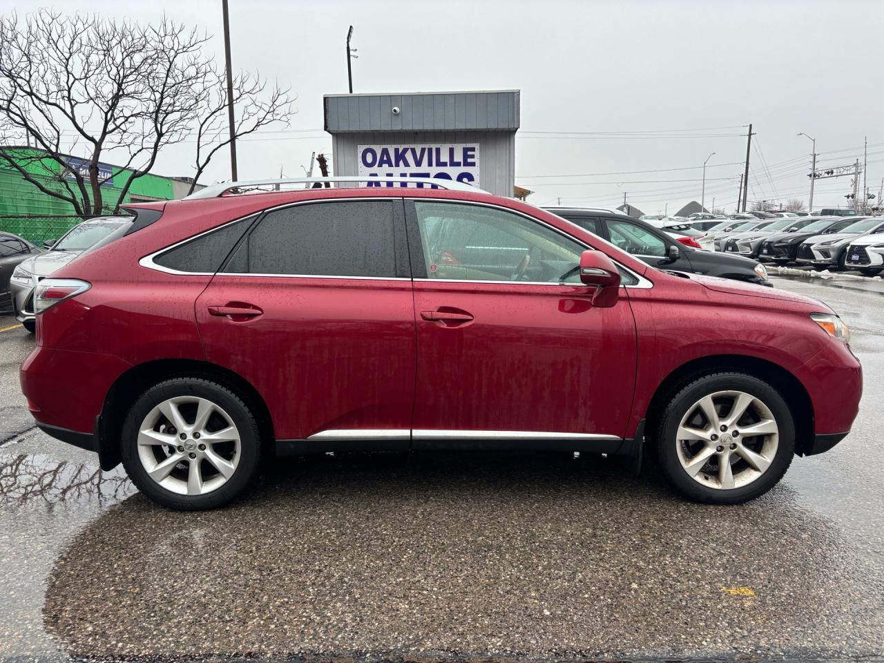 2010 Lexus RX Navigation, AWD 4dr Photo