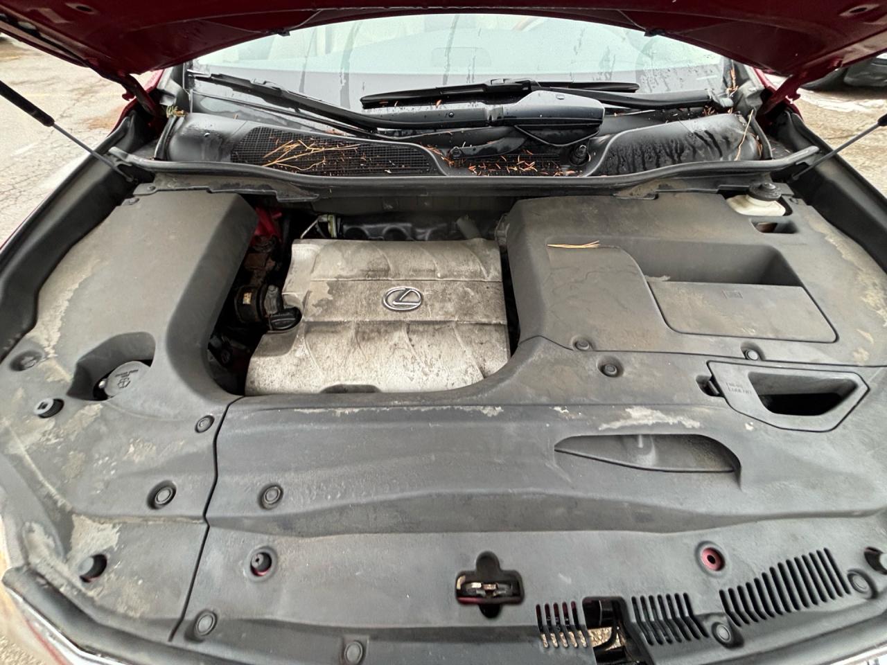 2010 Lexus RX Navigation, AWD 4dr Photo