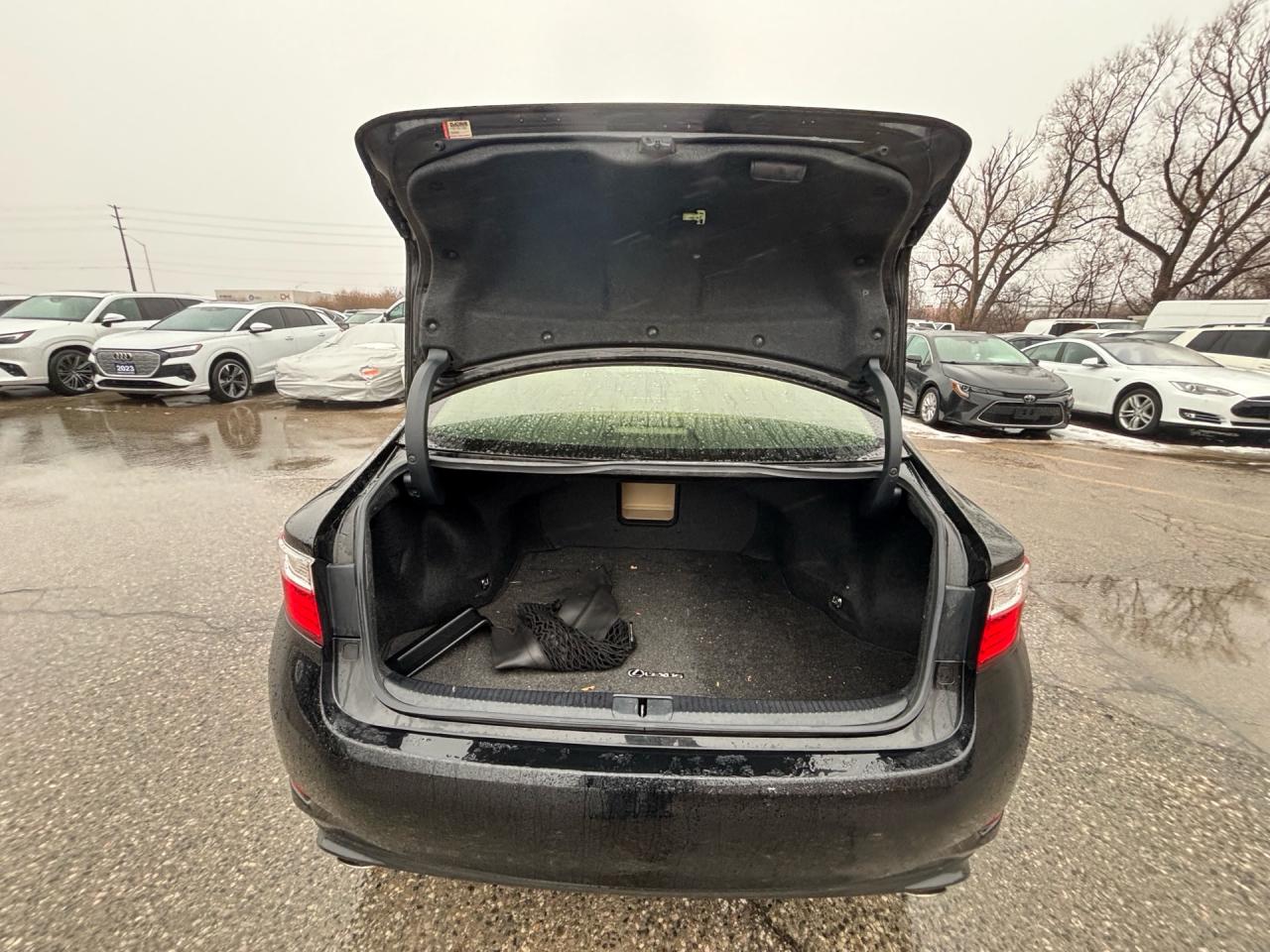 2014 Lexus ES 4DR SDN Photo