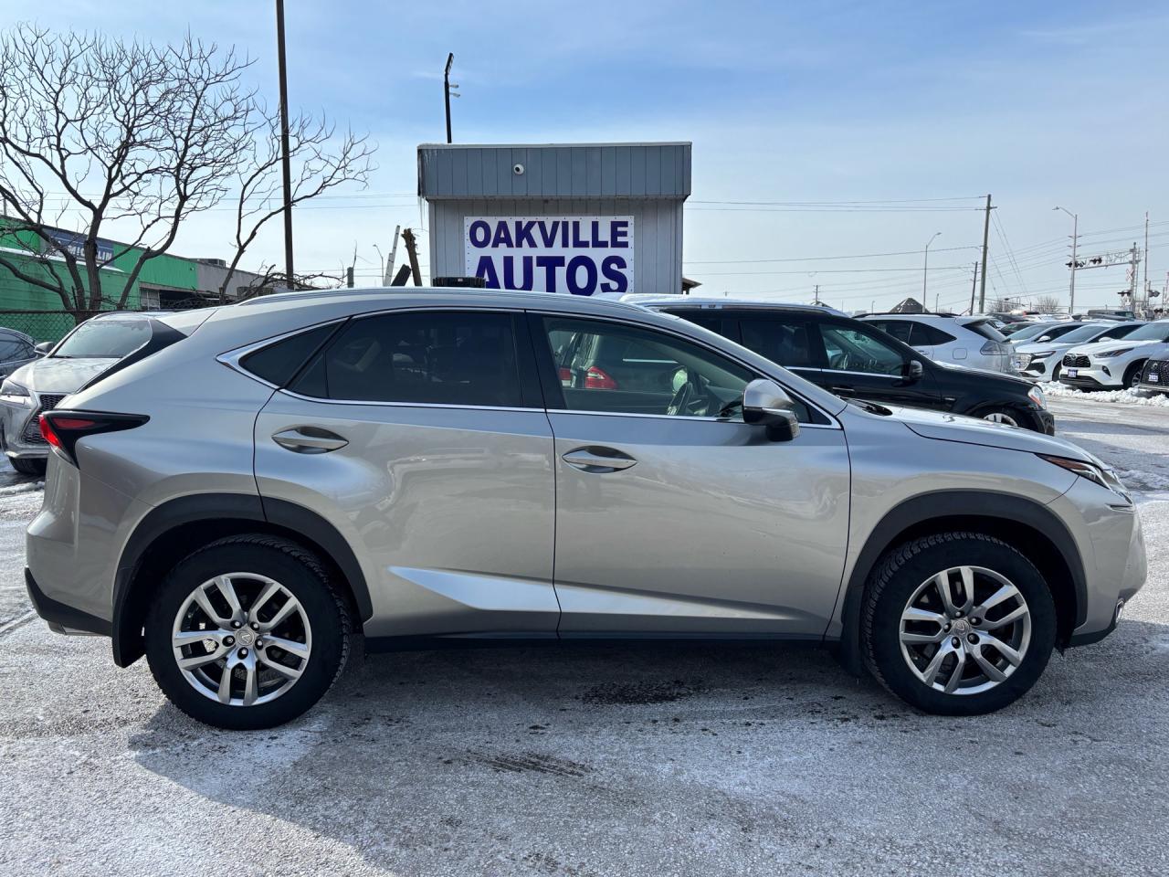 2017 Lexus NX Navigation, Sunroof, AWD 4dr Photo