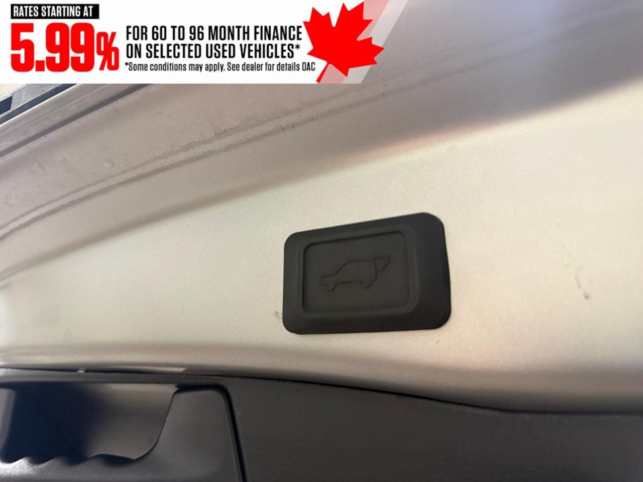 2024 Toyota RAV4 Hybrid Hybrid XLE AWD Photo