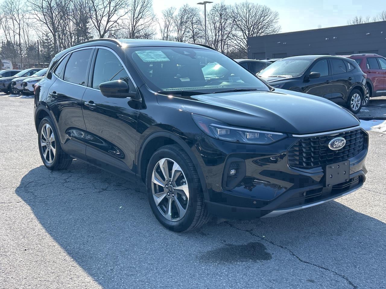 2024 Ford Escape Platinum AWD Photo