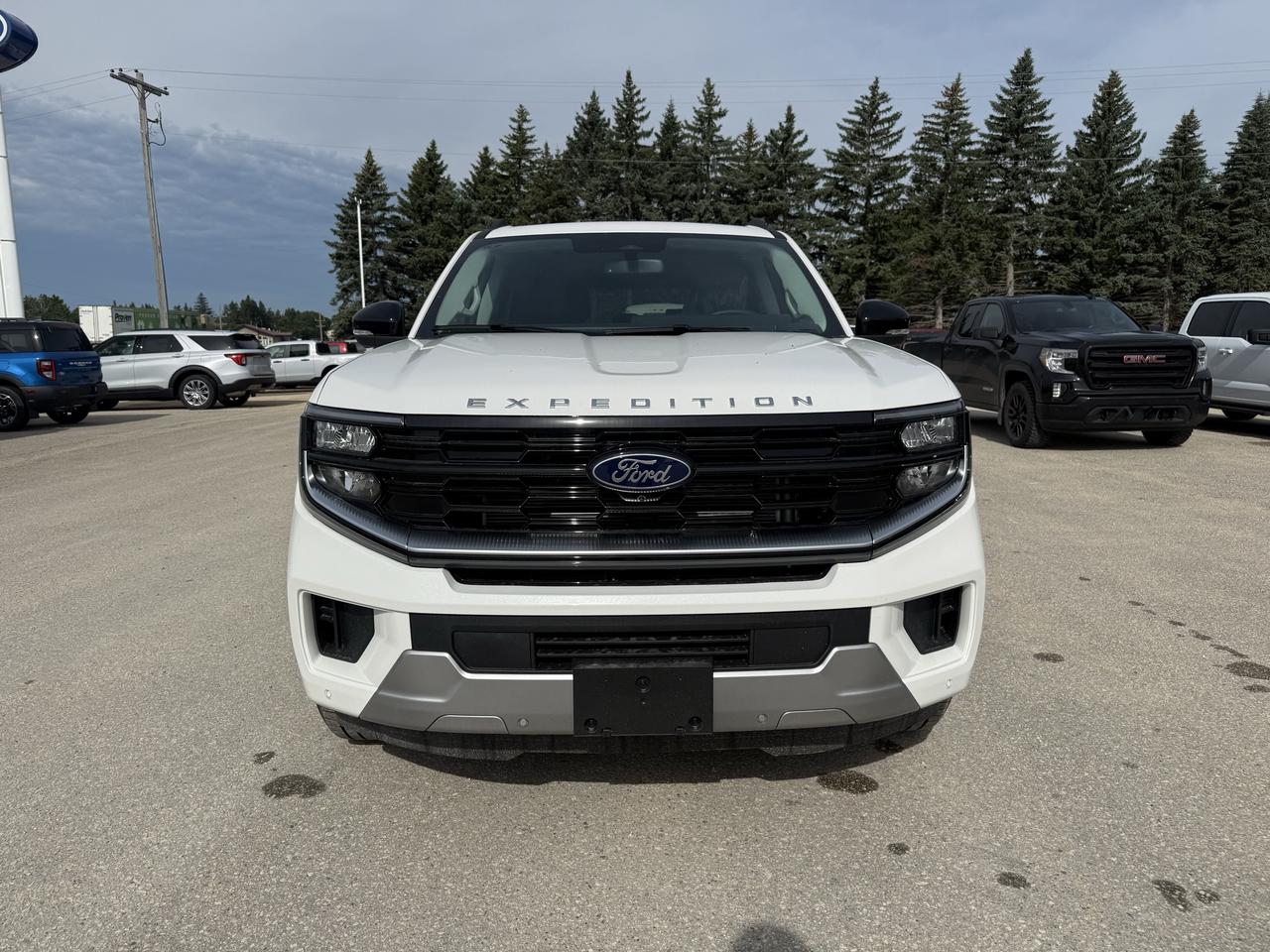 2026 Ford Expedition Platinum Max 4X4 Photo2