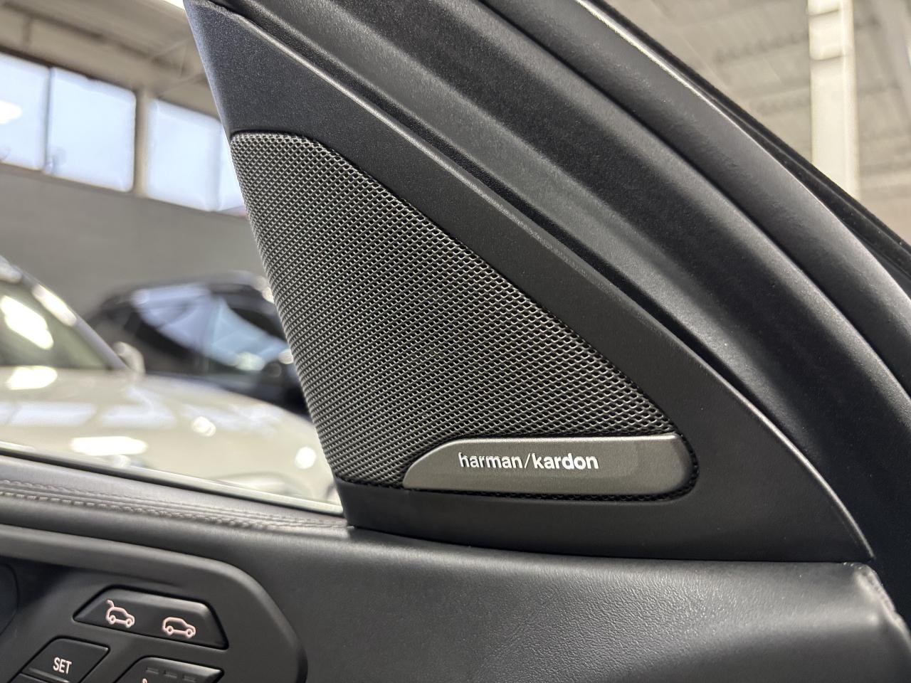 2020 BMW X6 xDrive40i|AWD|MPKG|INDIVIDUAL|MASSAGE|SKYLOUNGE|++ Photo